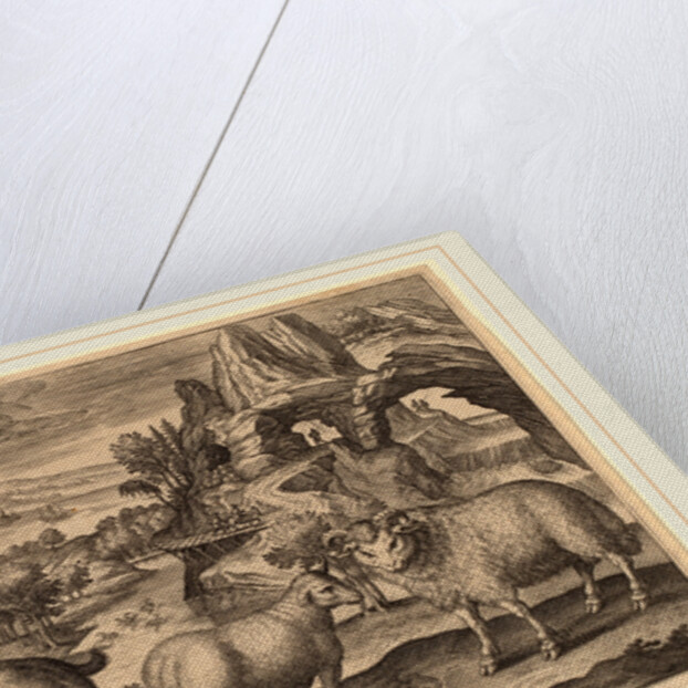 Animalium Quadrupedum by Adriaen Collaert