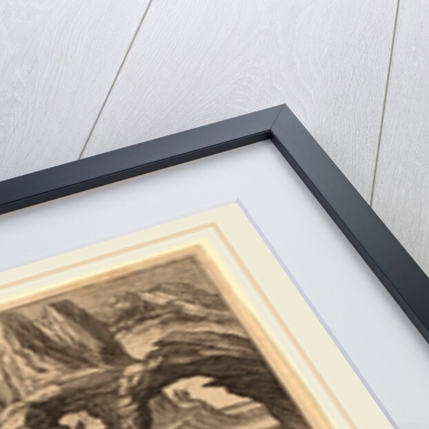 Animalium Quadrupedum by Adriaen Collaert