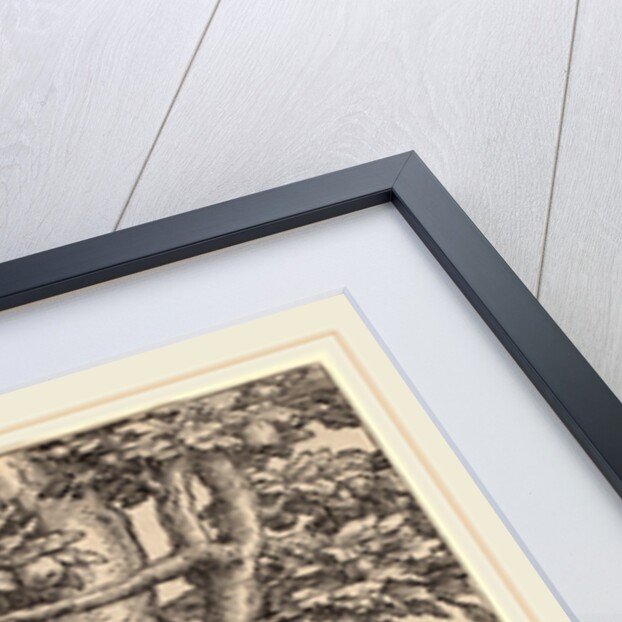 Adam and Eve by Lucas van Leyden