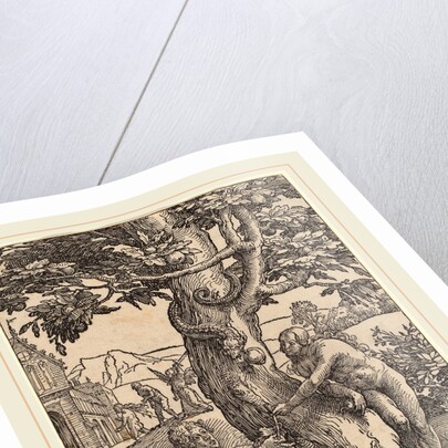 Adam and Eve by Lucas van Leyden