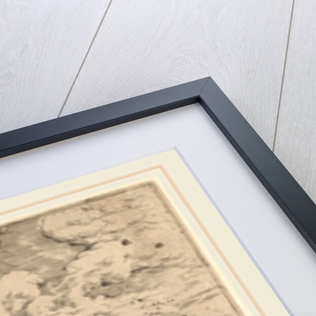 View of the Colosseum, probably 1550 by Hieronymus Cock