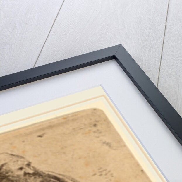 A Cooper by Willem Basse