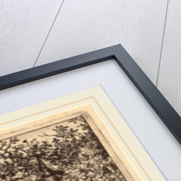 Swine Herd near a Chapel by Allart van Everdingen