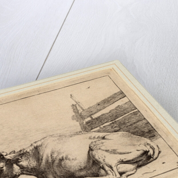 Cow Lying Down near a Fence, 1650 by Paulus Potter