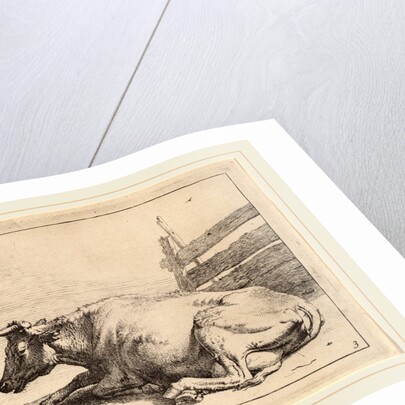 Cow Lying Down near a Fence, 1650 by Paulus Potter
