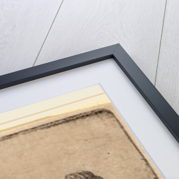 Self-Portrait in a Fur Cap, 1630 by Rembrandt van Rijn