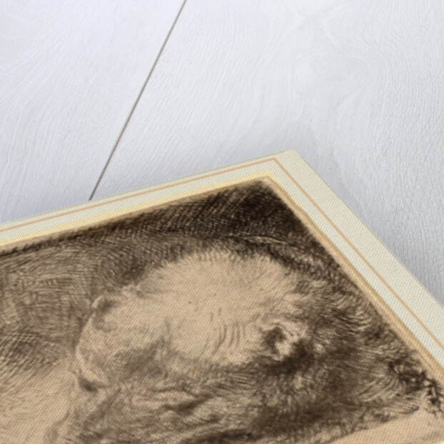 Sleeping Puppy, c. 1640 by Rembrandt van Rijn