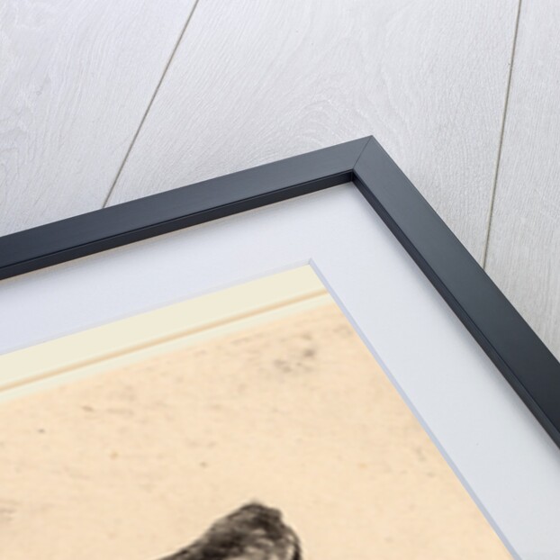 Young Man in a Velvet Cap, 1637 by Rembrandt van Rijn