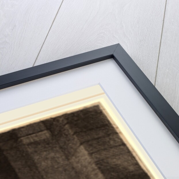 The Great Jewish Bride, 1635 by Rembrandt van Rijn