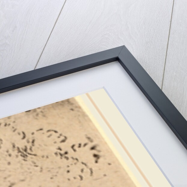 Beggar with a Stick, Walking to the Left, 1631 by Studio of Rembrandt van Rijn