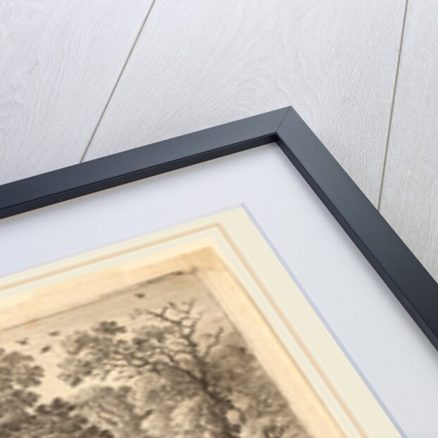 Tobias Frightened by the Fish by Herman van Swanevelt