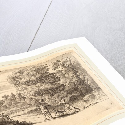 Tobias Frightened by the Fish by Herman van Swanevelt