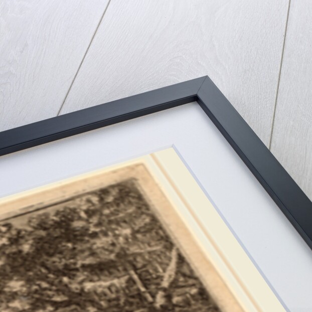 Temptation of Christ by Herman van Swanevelt