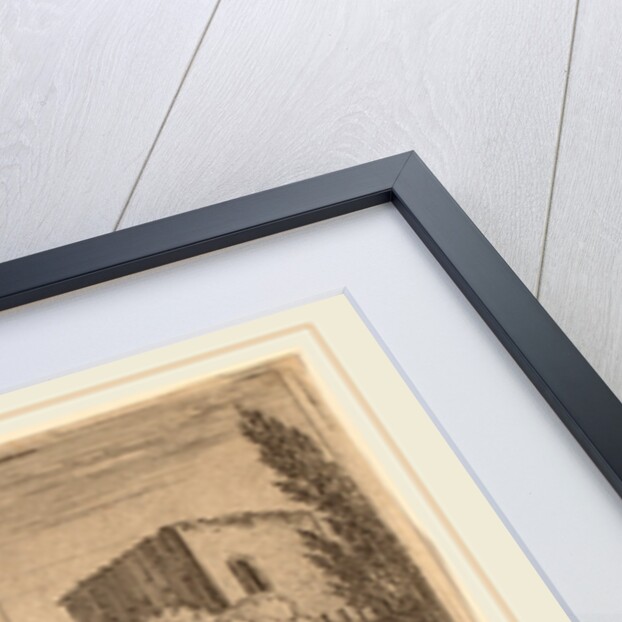 The Bent Tree by Herman van Swanevelt