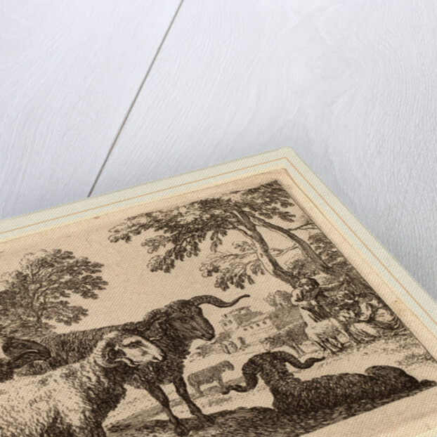 Rams by Herman van Swanevelt