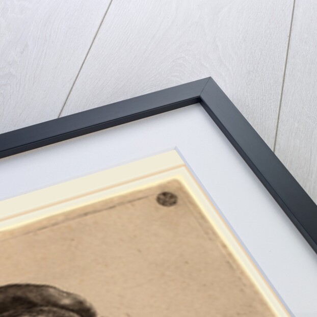 Self-Portrait in a Cap and Scarf with the Face Dark, 1633 by Rembrandt van Rijn