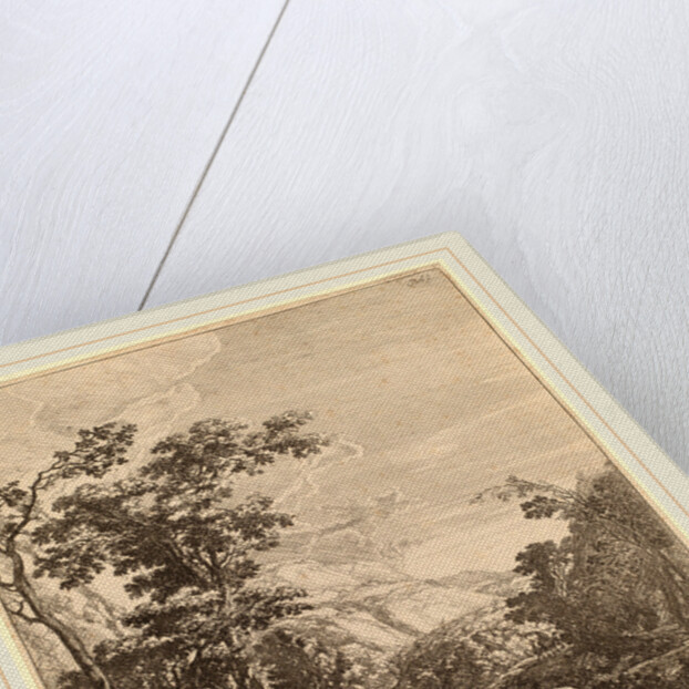 The Woman on the Hinny by Jan Both