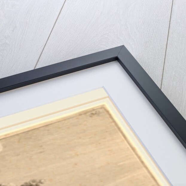 The Woman on the Hinny by Jan Both