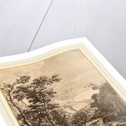 The Woman on the Hinny by Jan Both