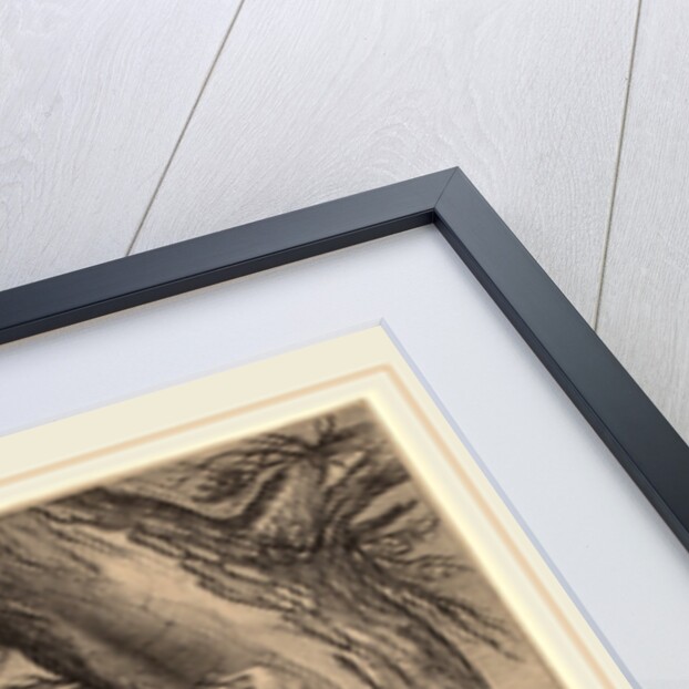 The Fortune Teller, c. 1608 by Andries Jacobsz Stock