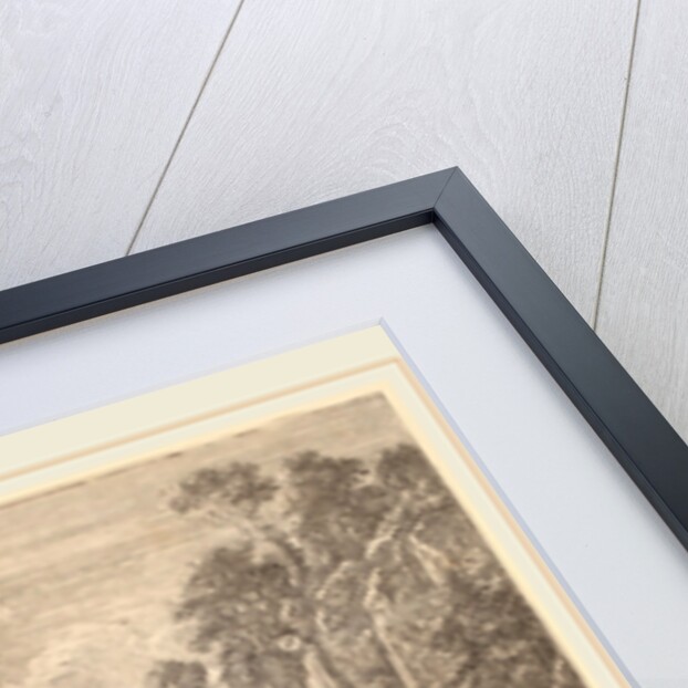 The Large Cascade by Herman van Swanevelt