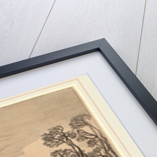 January by Jan van de Velde II