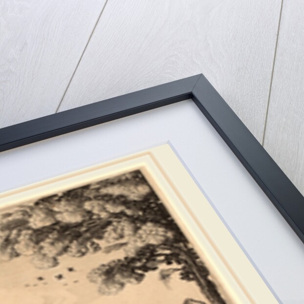 June by Jan van de Velde II