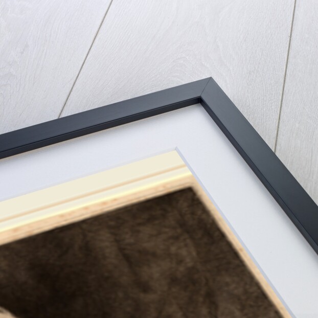 Lieven Willemsz van Coppenol: the Larger Plate, 1658 by Rembrandt van Rijn