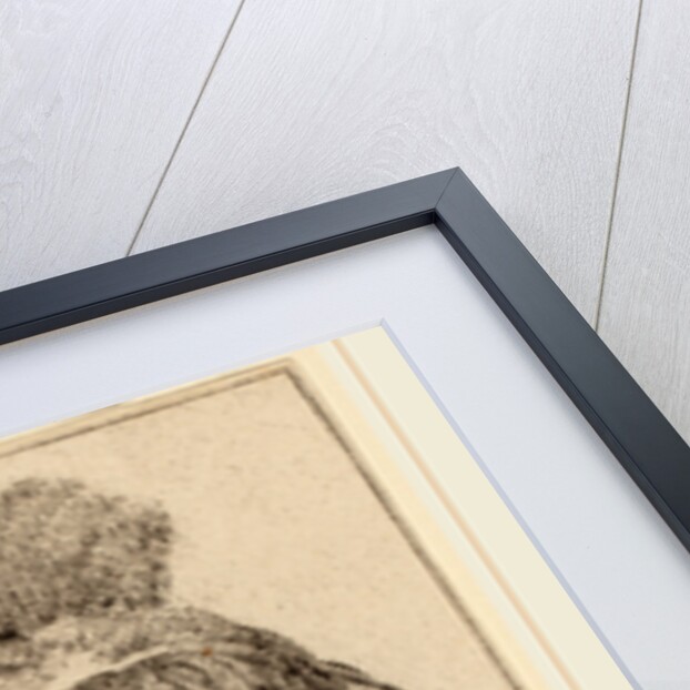 Lying Dog, 1777 by Cornelis Ploos van Amstel and Cornelis Brouwer