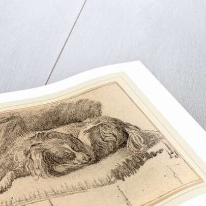 Lying Dog, 1777 by Cornelis Ploos van Amstel and Cornelis Brouwer