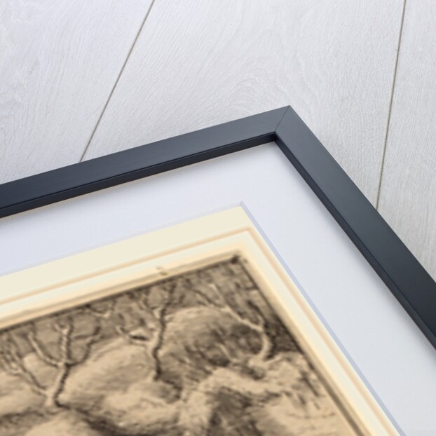 The Entombment by Wenceslaus Hollar