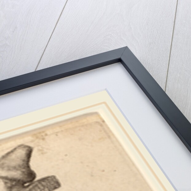 Mercatoris Pragensis Vxor, 1642 by Wenceslaus Hollar