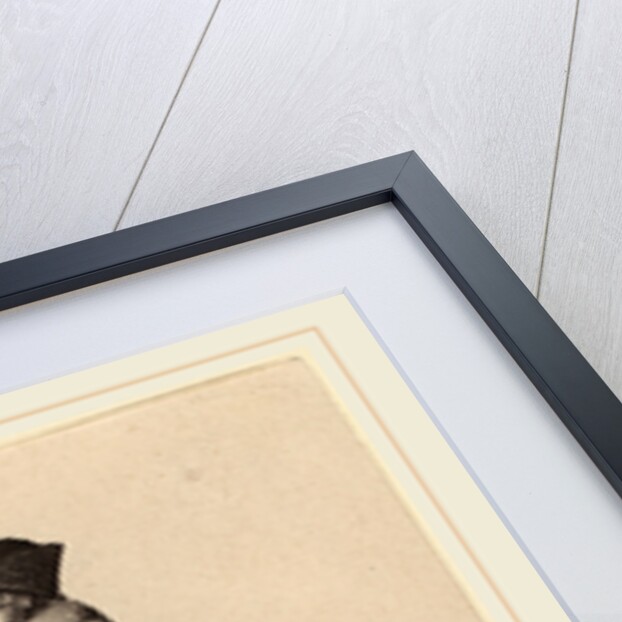 Ancilla Argentinensis, 1643 by Wenceslaus Hollar