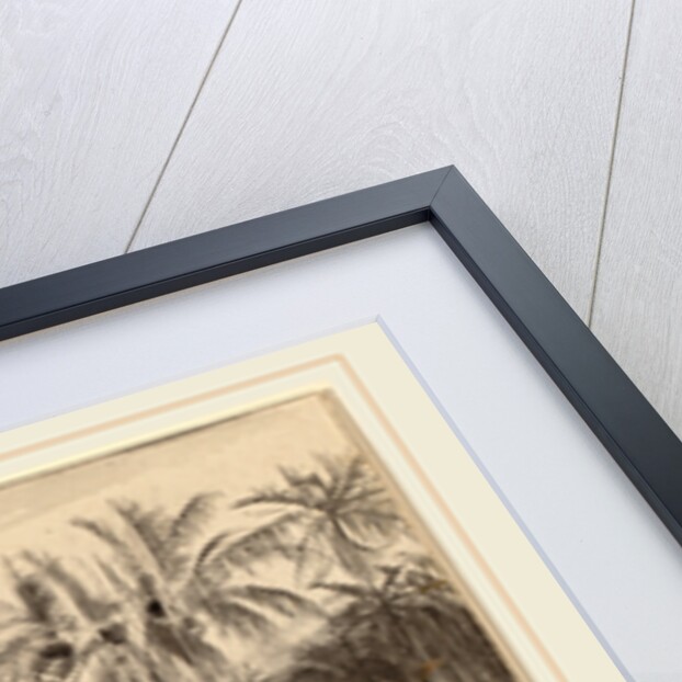 Avisavella, Ceylon by Edward Lear