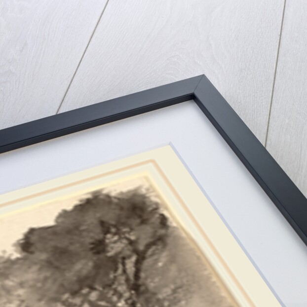 View across a Bay by Edward Lear