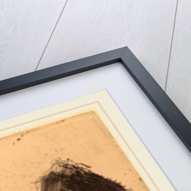 Madame Simon, II by Anders Zorn