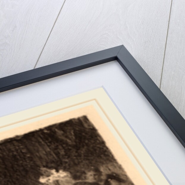 The Waltz by Anders Zorn