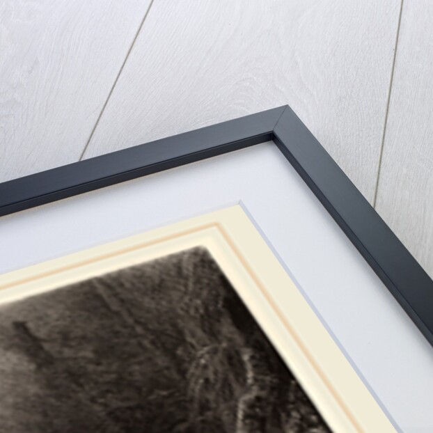 A l'abri du givre, Swiss by Karl Bodmer