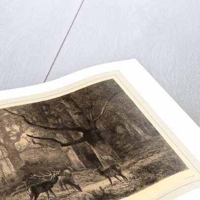Forêt de Fontainebleau, Swiss by Karl Bodmer