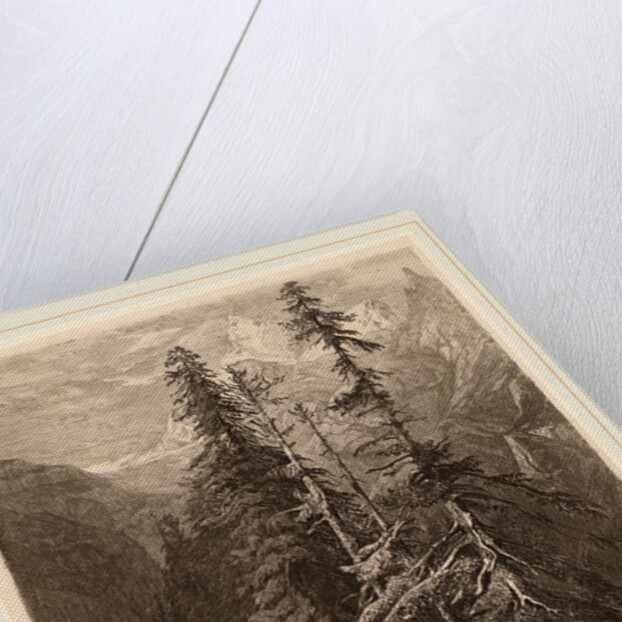 Essais de gravure à l'eau forte par Alexandre Calame, I, pl. 21 by Alexandre Calame