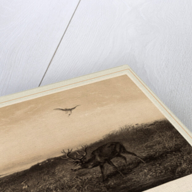 Le Soir. Cerf et Herons, Swiss by Karl Bodmer