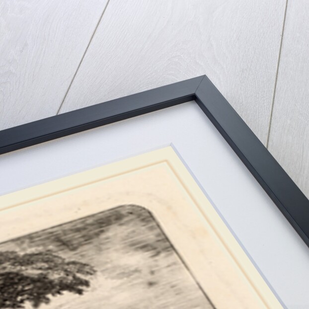 The Tourist by Emmanuel Phélippes-Beaulieu