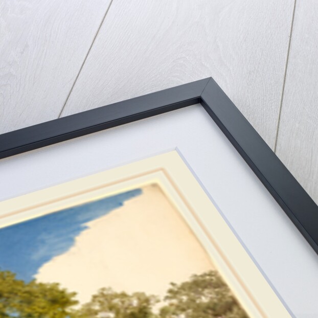 Trees Profiled against the Sky by John Henry Hill