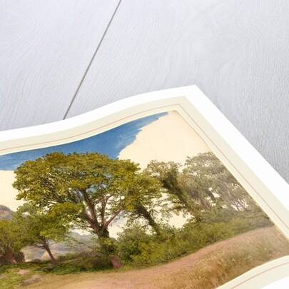 Trees Profiled against the Sky by John Henry Hill