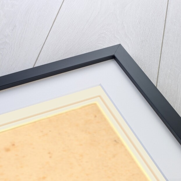 The Drinker by Charles Wesley Jarvis