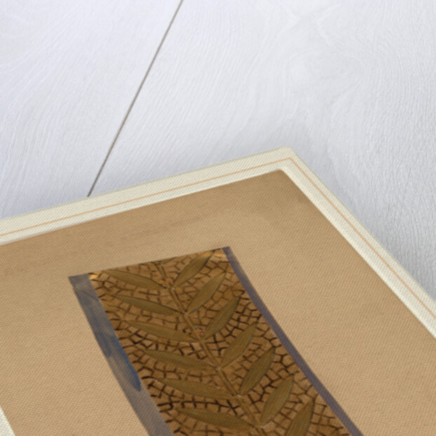 Study for a Border Design by Charles Sprague Pearce