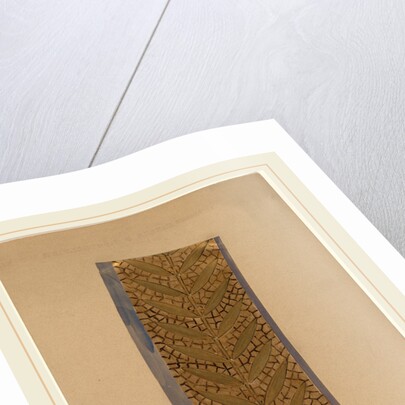 Study for a Border Design by Charles Sprague Pearce