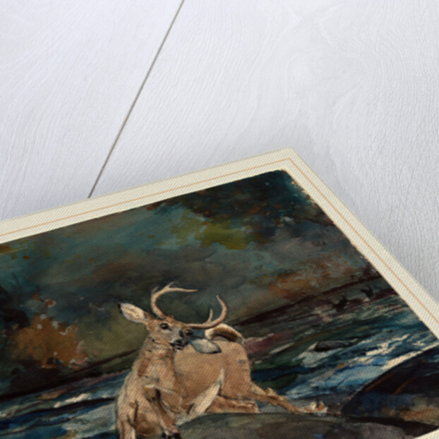 A Good Shot, Adirondacks by Winslow Homer