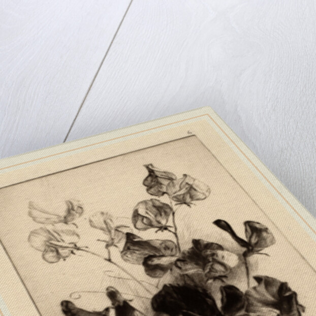 Sweet Peas by James David Smillie