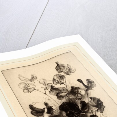 Sweet Peas by James David Smillie